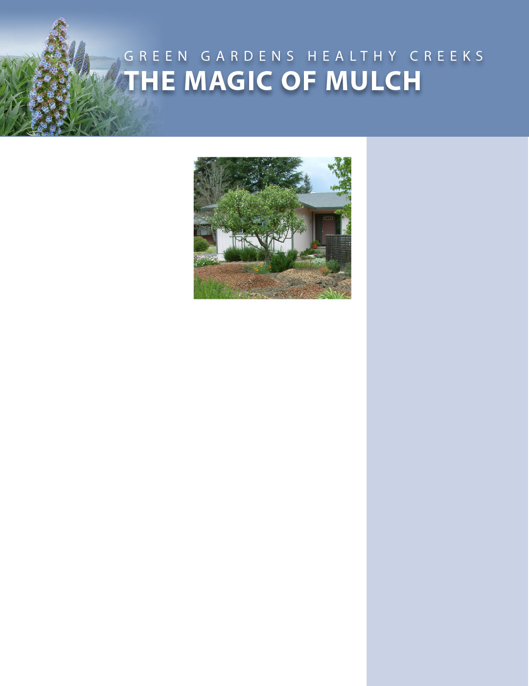 The Magic of Mulch