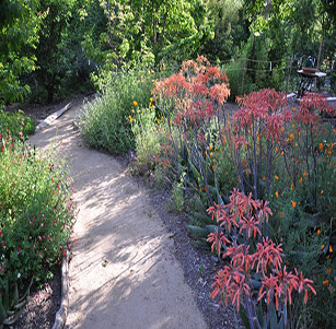 Home Arboretum Garden
